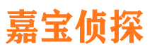 翠屏侦探公司